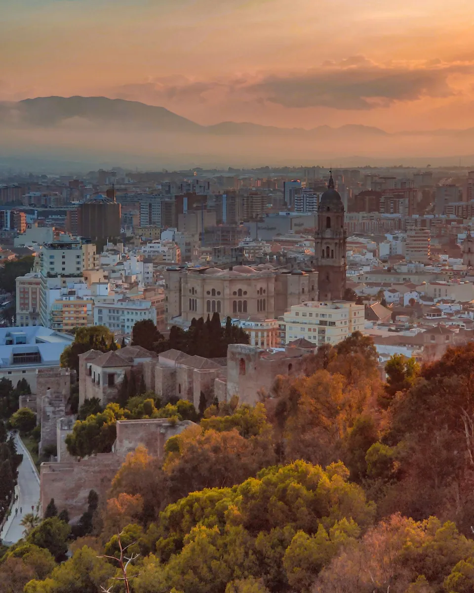Kathedrale von Málaga mit ihrem einzelnen Turm über den Dächern der Stadt, vorn Festungsmauern zwischen Bäumen bei Sonnenuntergang