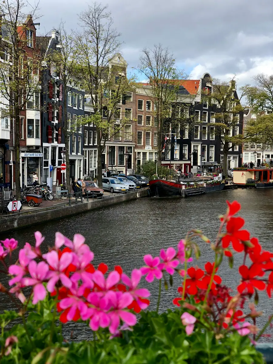 Gracht mit Hausbooten und schmalen Backstein-Giebelhäusern, im Vordergrund rote und rosa Geranien