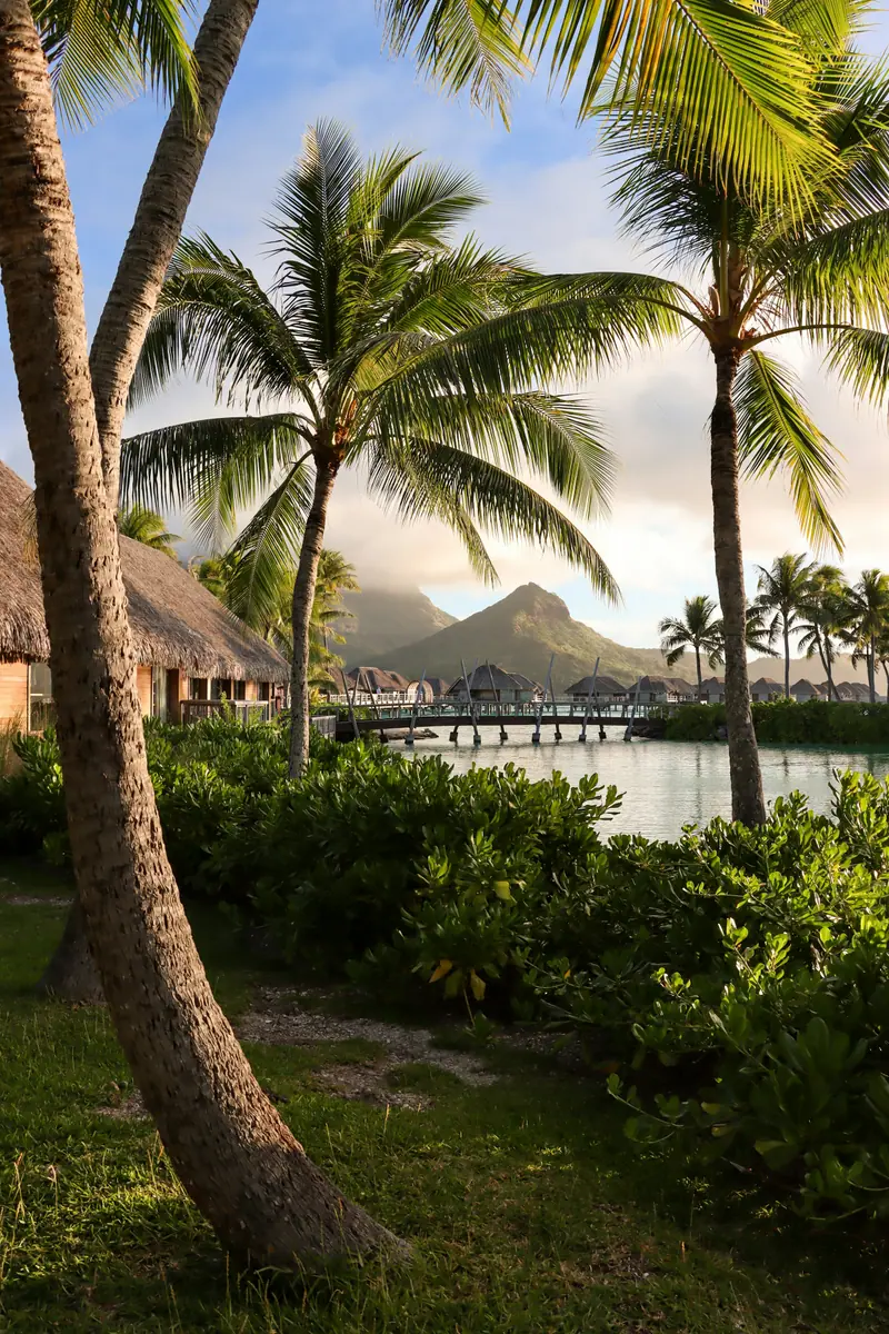 Palmen und Strohdachbungalows an einer Lagune, ein Steg führt zu Überwasser-Bungalows vor einem grünen Berg