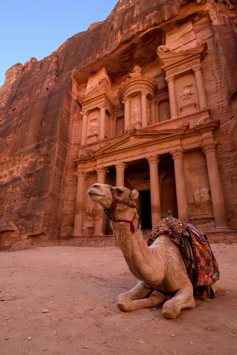 Liegendes Kamel mit buntem Sattel vor der in den Fels gehauenen Fassade des Schatzhauses in Petra