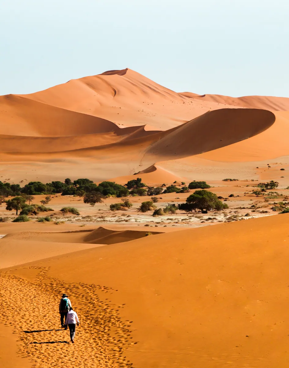 Zwei Wanderer gehen auf einem Dünenkamm durch orangeroten Sand, dahinter hohe Sanddünen und Akazien