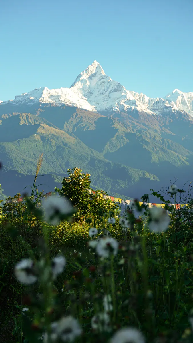 Spitzer schneebedeckter Gipfel über grünen Bergrücken, im Vordergrund Wildblumen und Gebetsfahnen