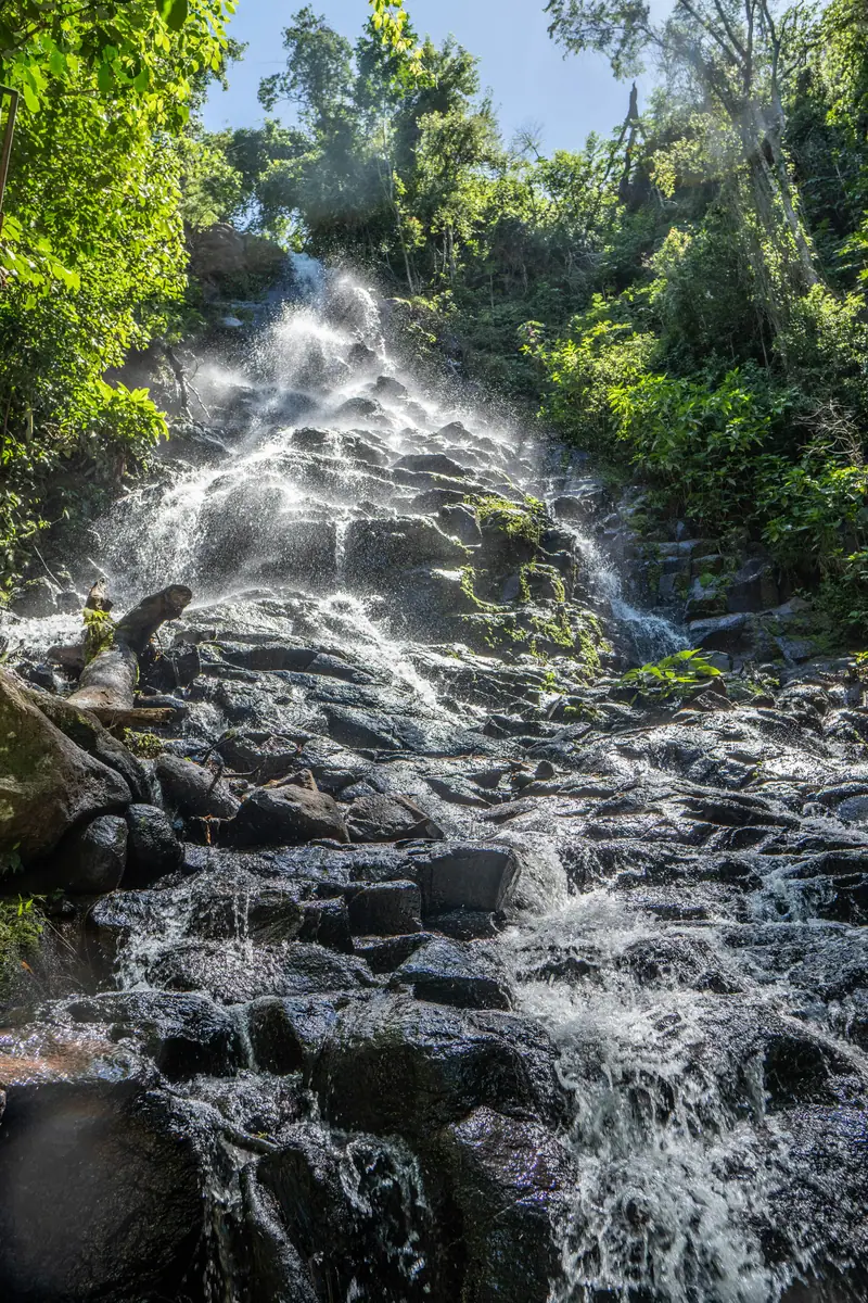 Ein Wasserfall stürzt über dunkle, bemooste Felsstufen inmitten von dichtem grünem Wald.
