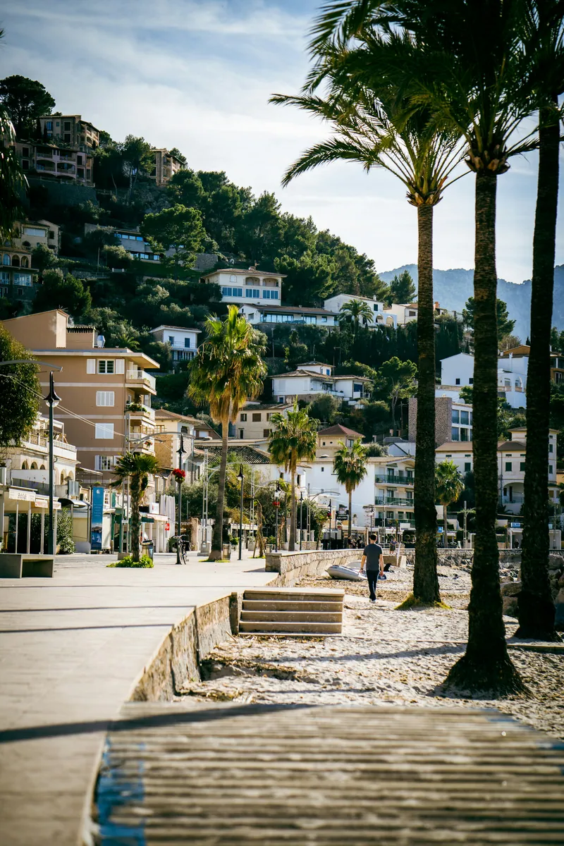 Strandpromenade mit hohen Palmen, dahinter Häuser und Villen an einem bewaldeten Hang vor Bergen