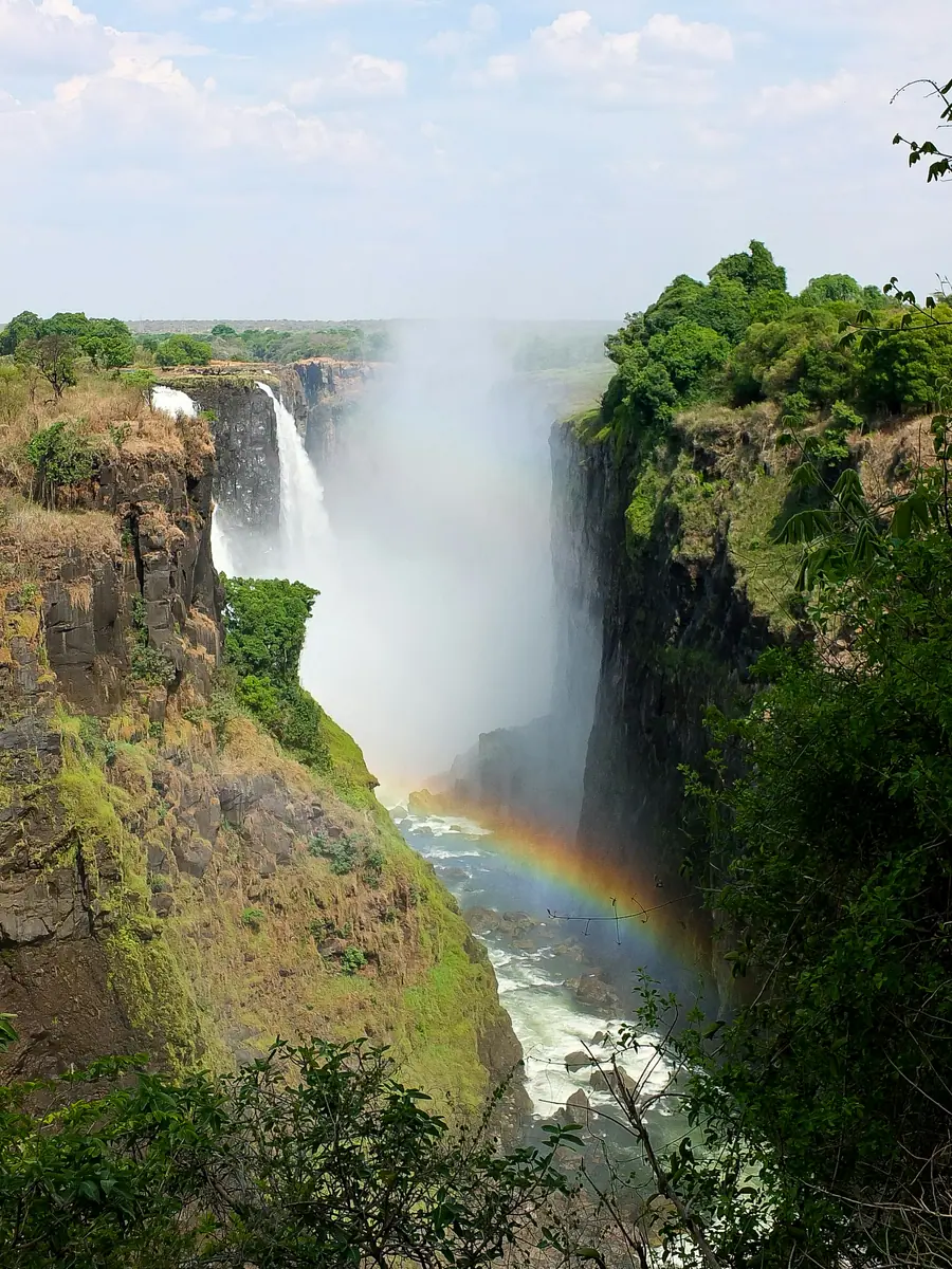Die Victoriafälle stürzen in eine tiefe, grün bewachsene Felsschlucht, über der Gischt steht ein Regenbogen.